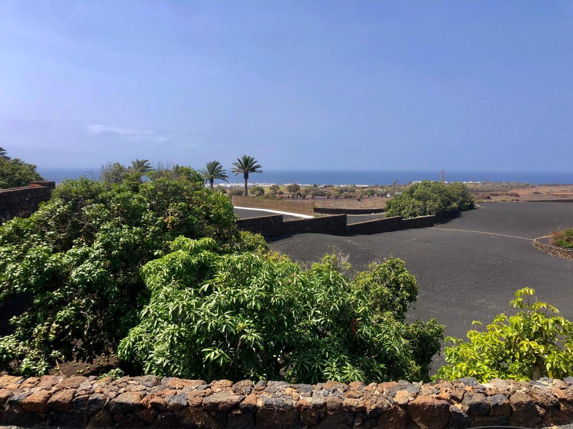 Villa Luciano "Spirit Of The Canaries" Tías Екстериор снимка